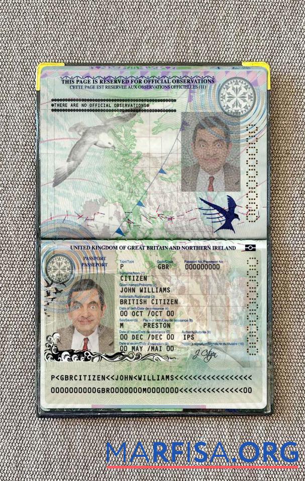 Downloadable United Kingdom of Great Britain and Northern Ireland passport (2010 2015) photo look sample